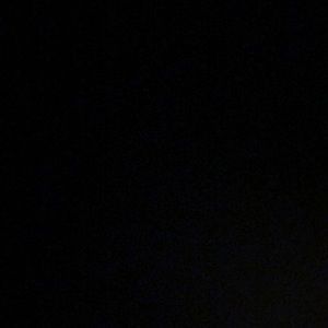 Meet your Posher, Bella